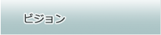 ビジョン